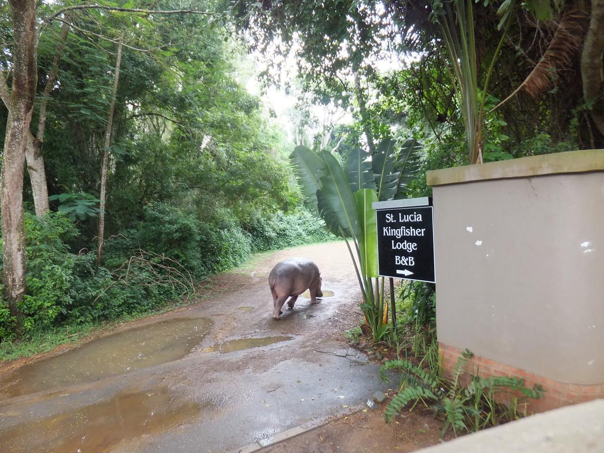 St Lucia Kingfisher Lodge Luaran gambar