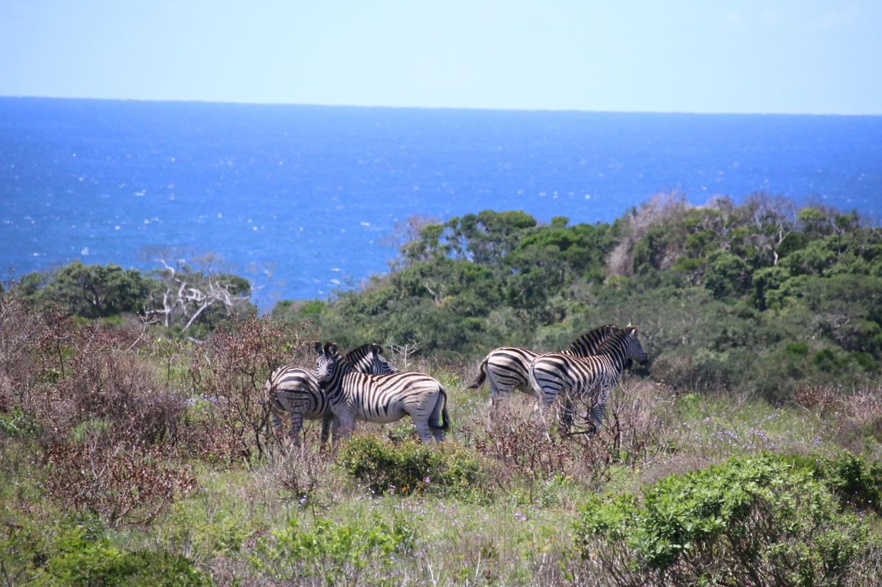 St Lucia Kingfisher Lodge Luaran gambar